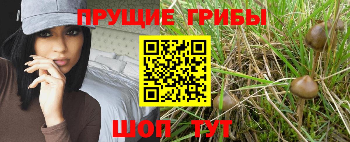 Галлюциногенные грибы ЛСД Реутов