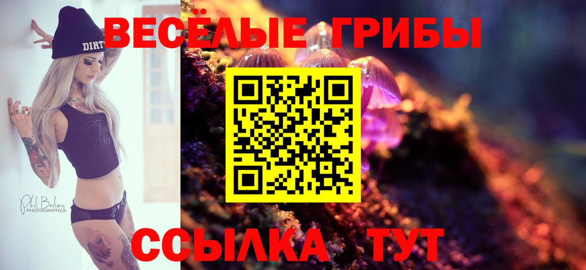 Реутов  Галлюциногенные грибы прущие грибы  как найти наркотики  Вход с VPN 