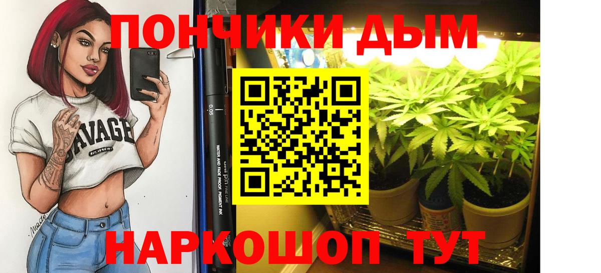 Каннабис планчик Реутов